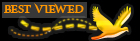 best viewed